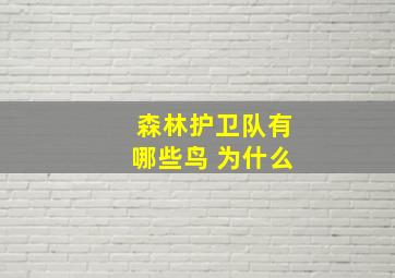 森林护卫队有哪些鸟 为什么